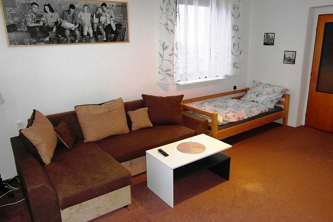 Apartmn 116 - Olenice v Orlickch horch